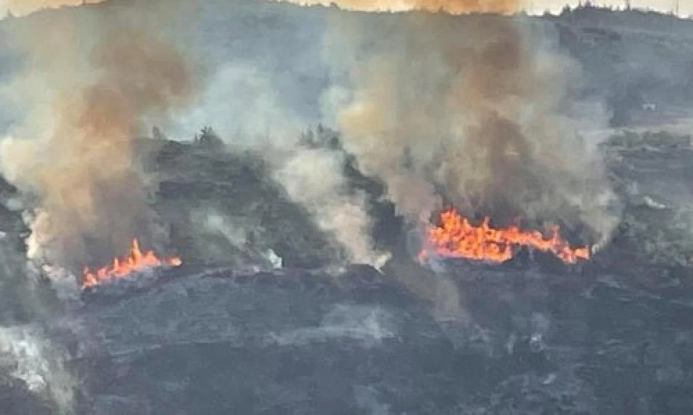 Φωτιά εκδηλώθηκε στην Τραγάνα Φθιώτιδας